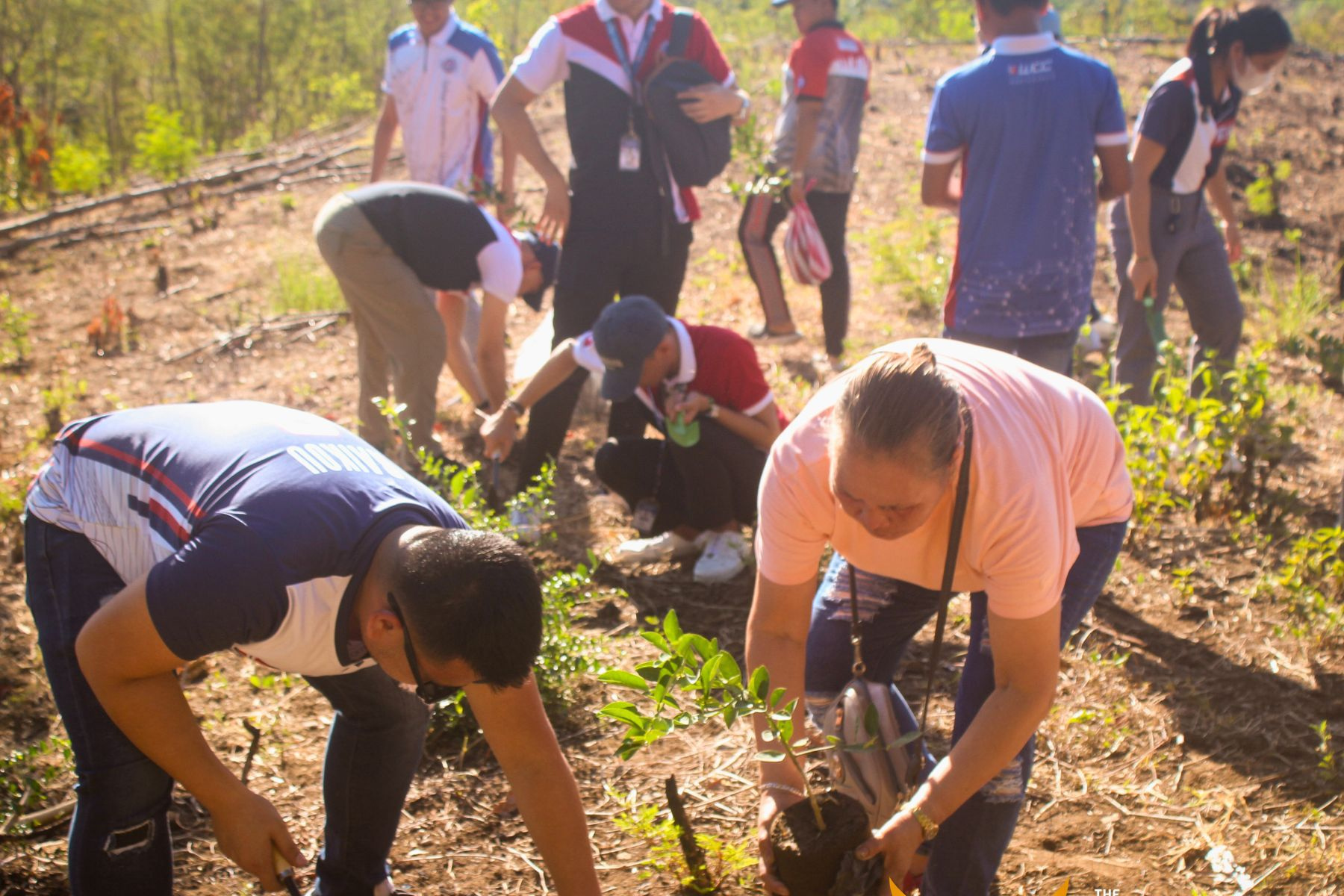 Environmental Conservation: Tree Planting Program in Doña Remedios Trinidad